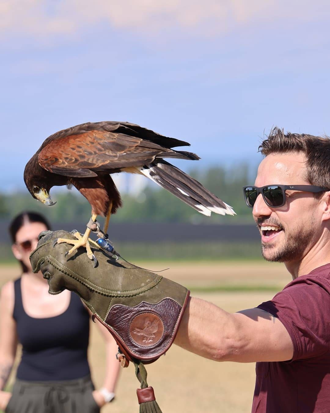 Fascination Birds of Prey & Owl Experience