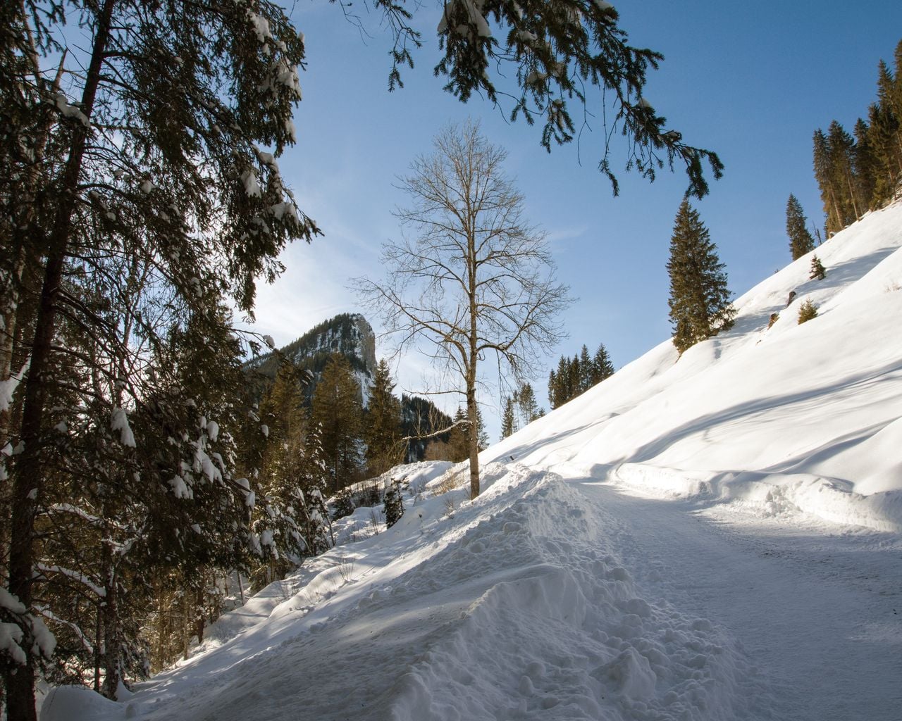 Winterwanderung Rossweid–Salwideli–Kemmeriboden