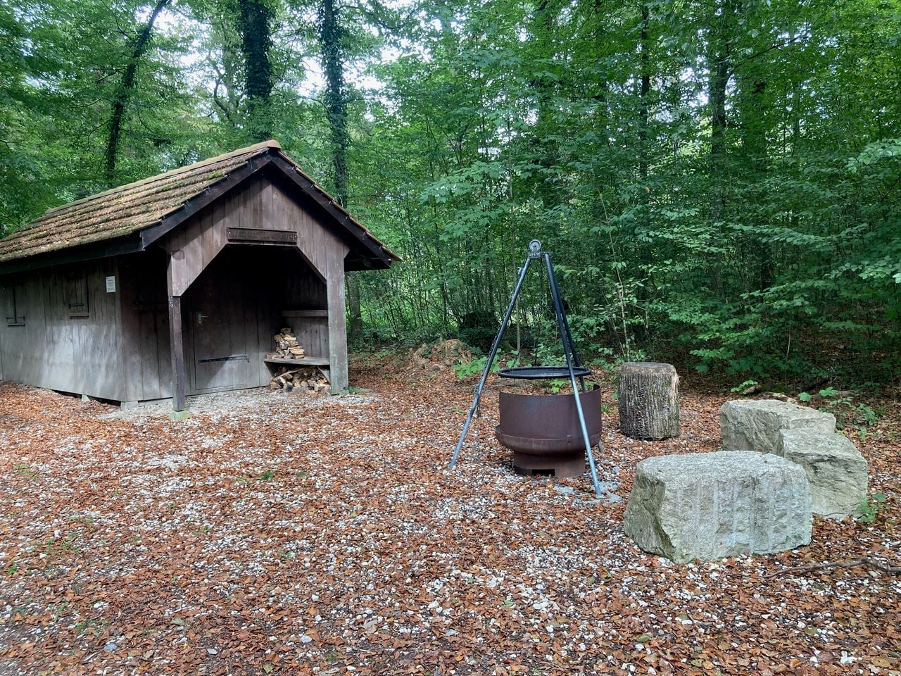 Area grill Eggfeld