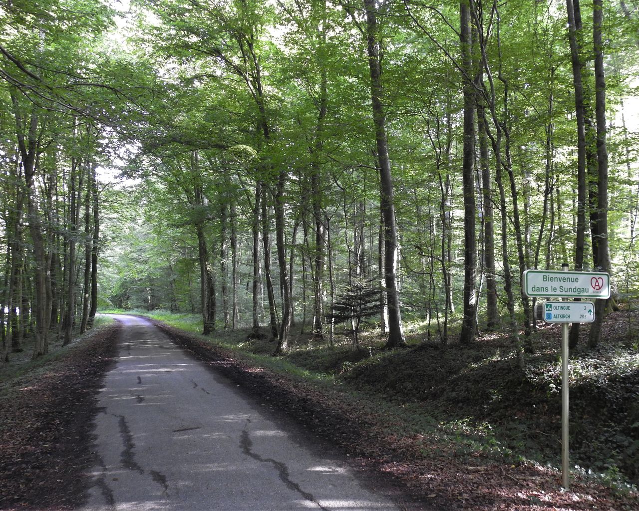 Dreiland-Radweg, Stage 2/4