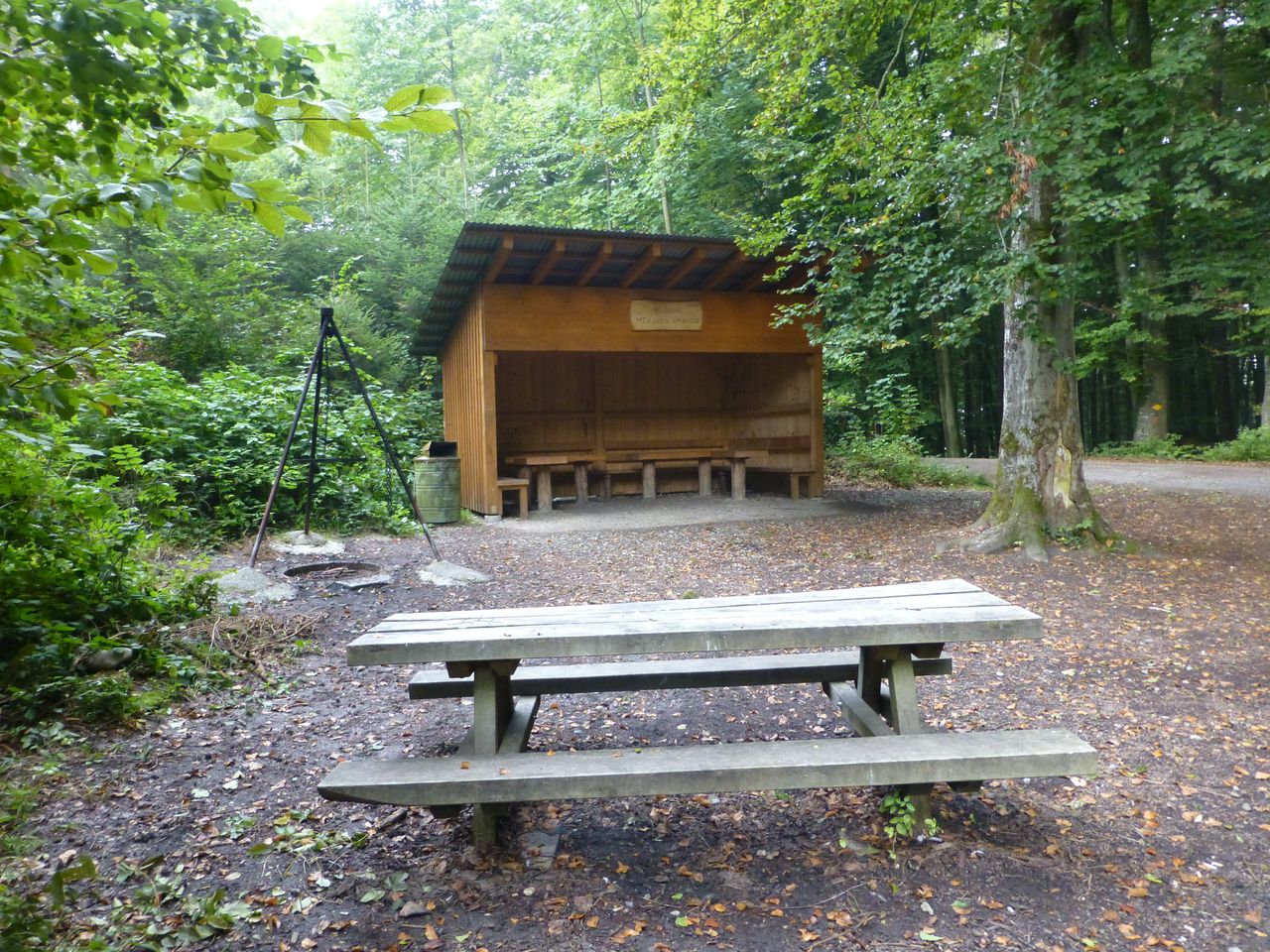 BBQ fireplaces