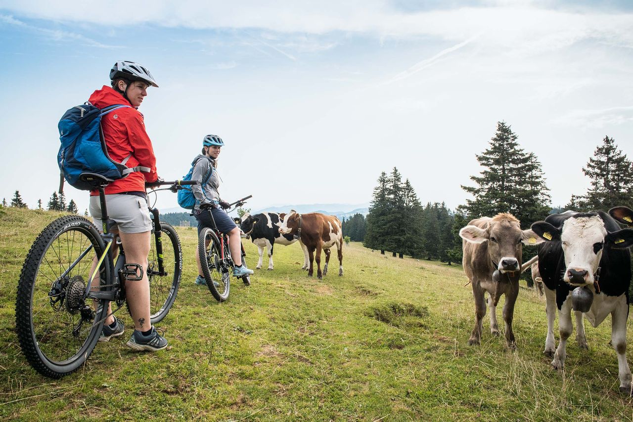 Percorsi MTB