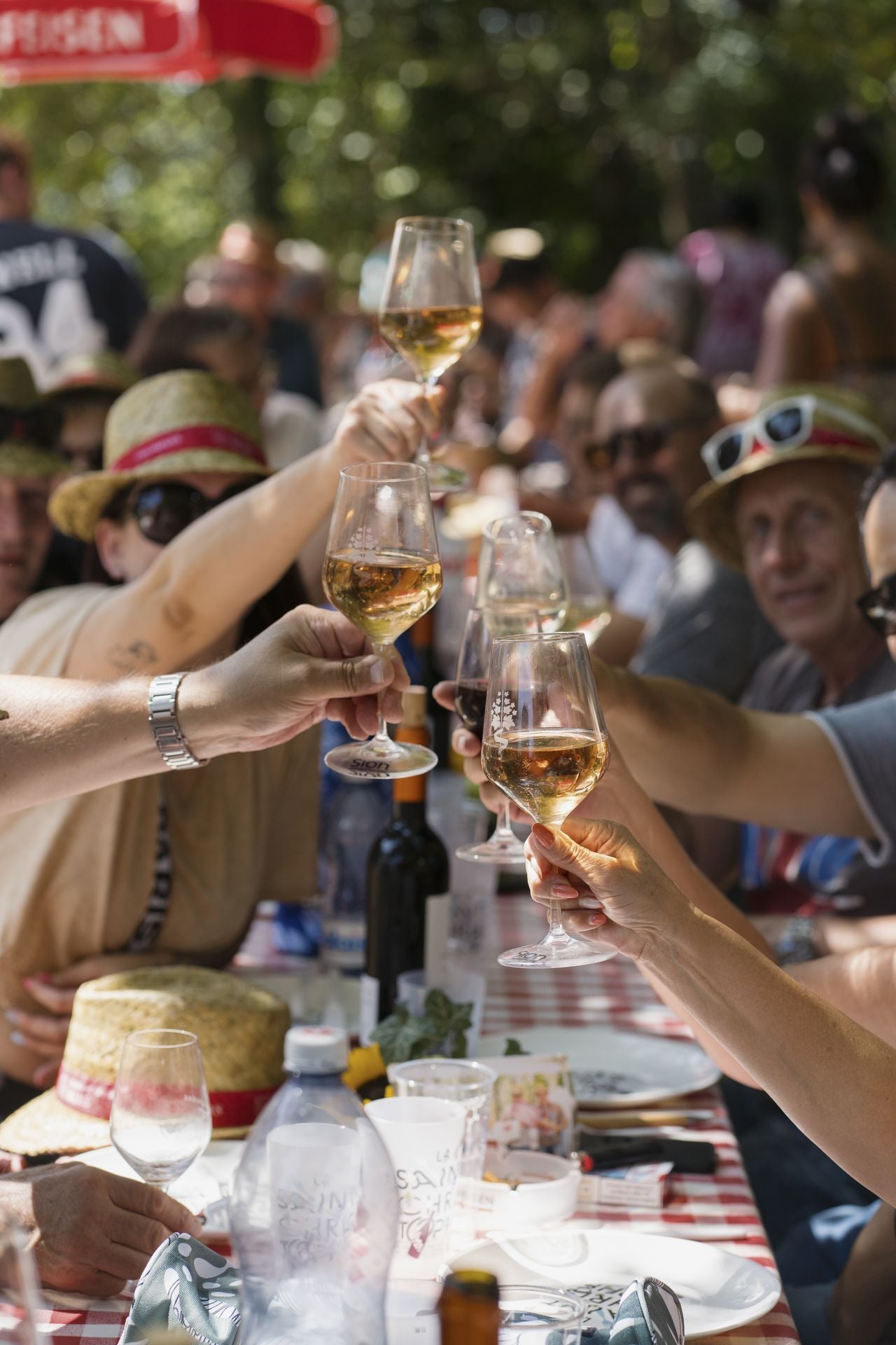 Valais Wine Tavolata