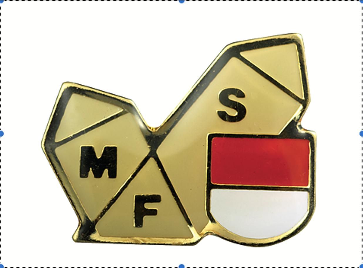 56. Solothurner Mineralien-, Fossilien- und Schmucktage (Mineralienbörse)