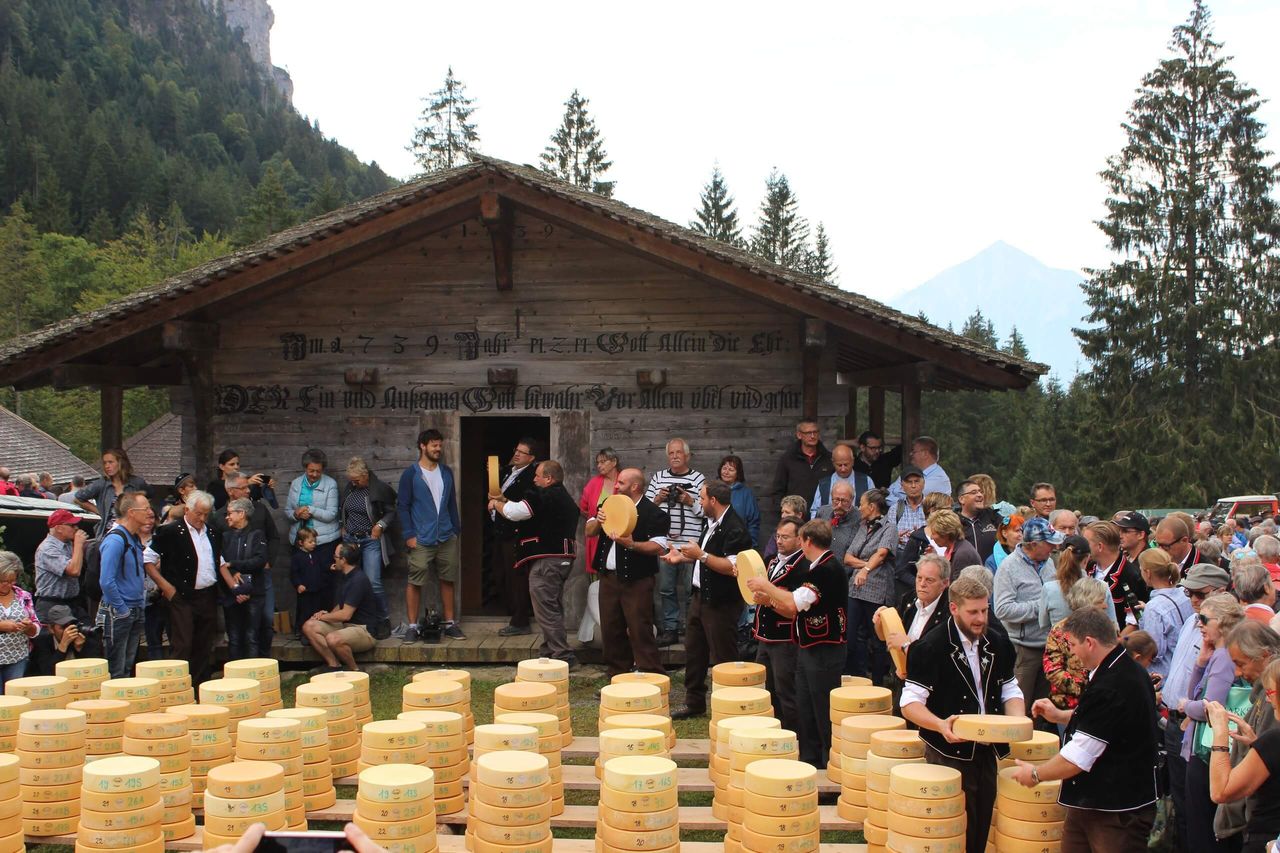 Cheese Sharing at Justistal