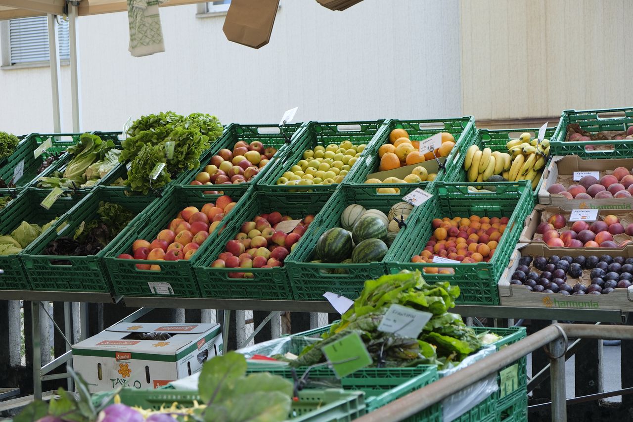 Organic weekly market