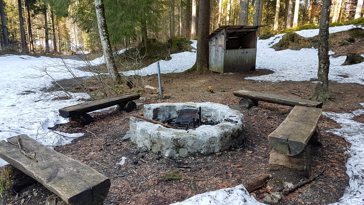 Feuerstelle Schönauwald
