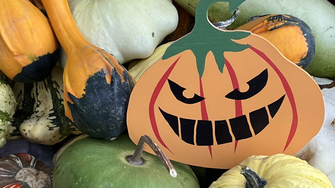 Lumières d'automne, un atelier "esprit Halloween"