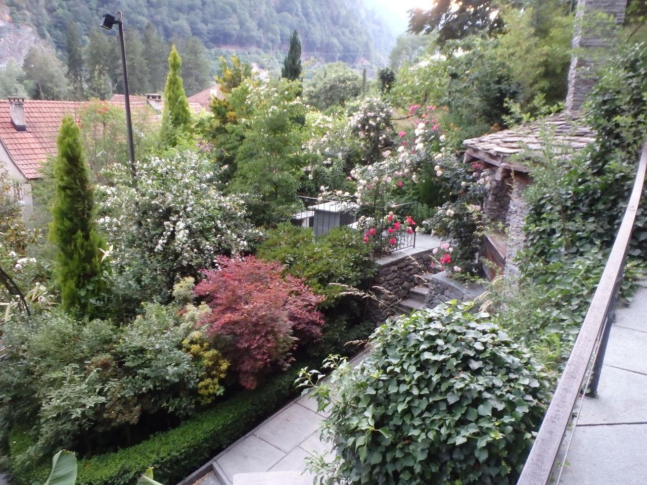 Garden tours at the Rothenbrunnen spa gardens