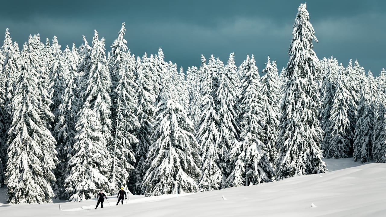 Piste La Thomassette–Mézery