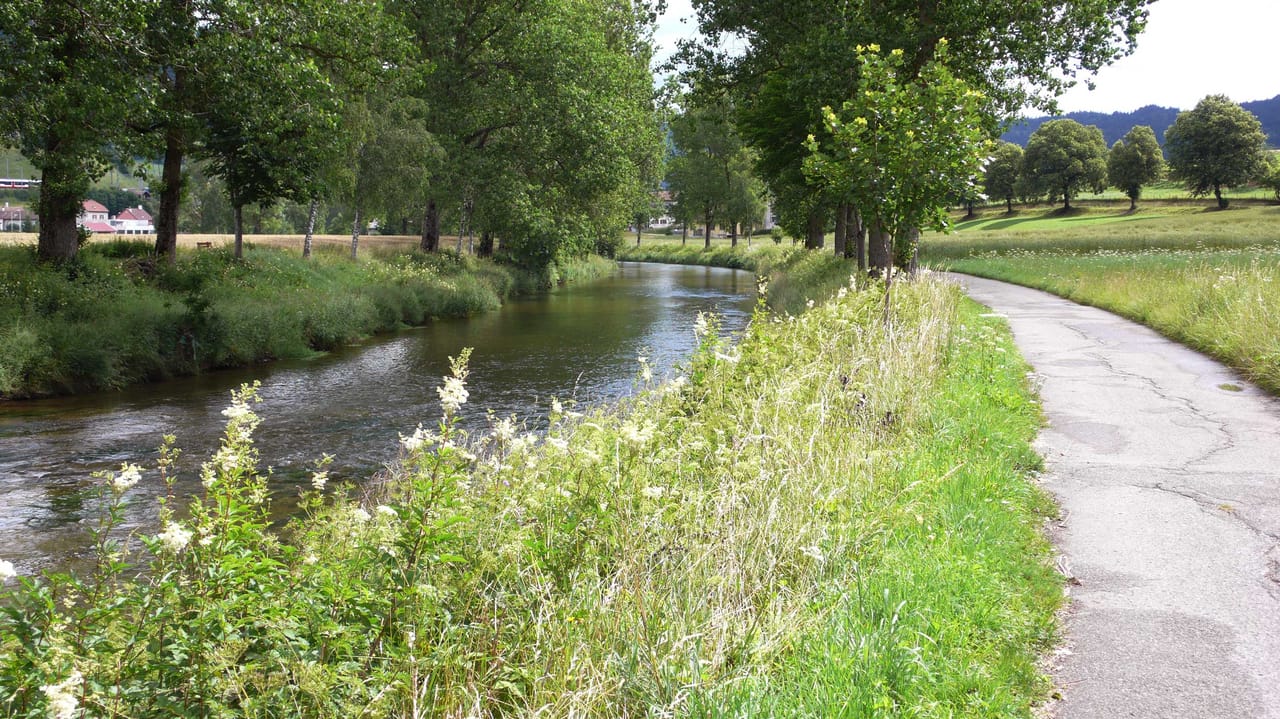 L'Areuse–Emme–Sihl, Stage 1/5