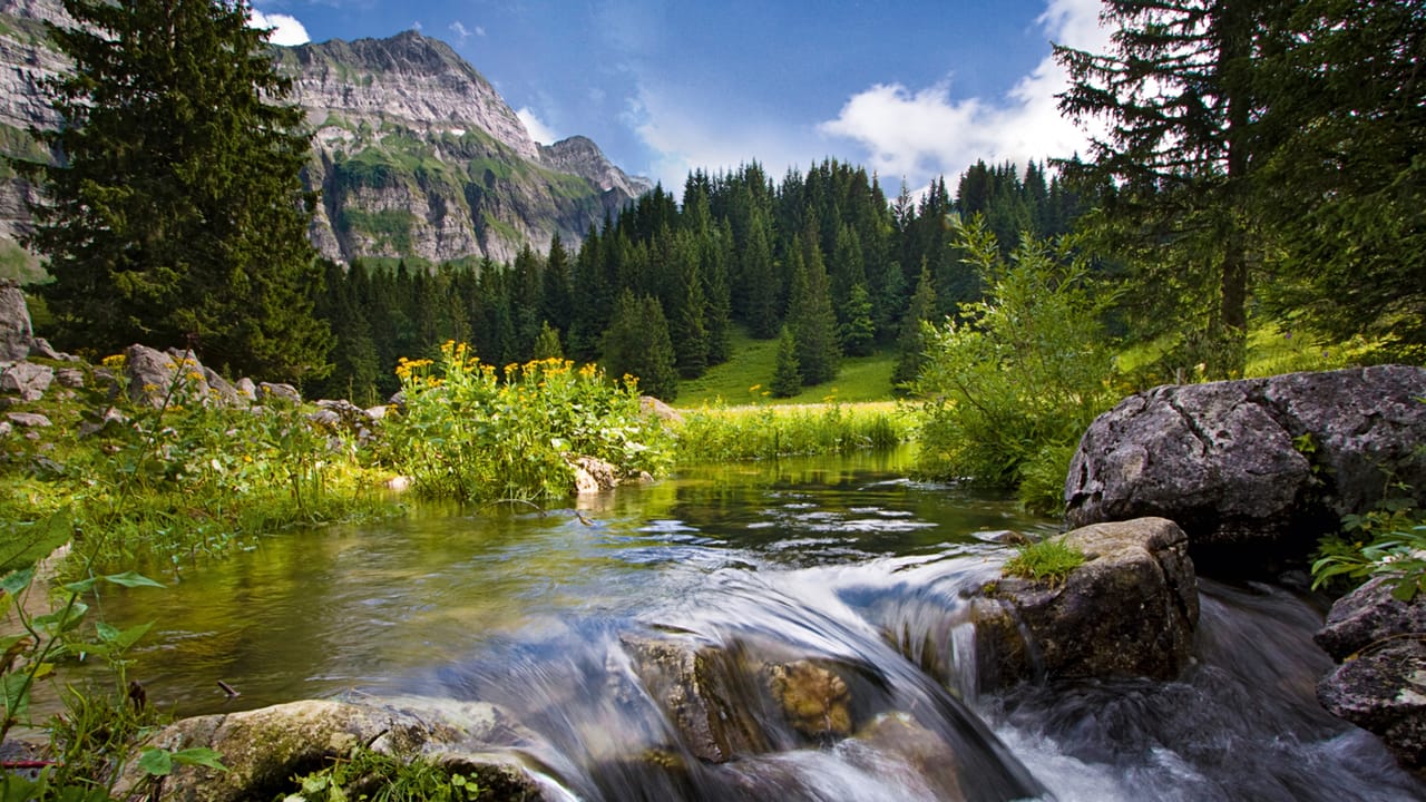Appenzeller Alpenweg, Etappe 2/2