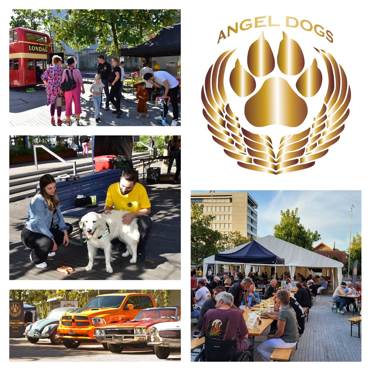 Angel Dogs Day