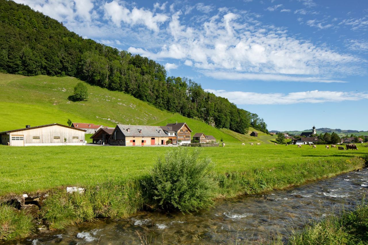 Appenzeller| Poulet Familie Manser,| Schwende
