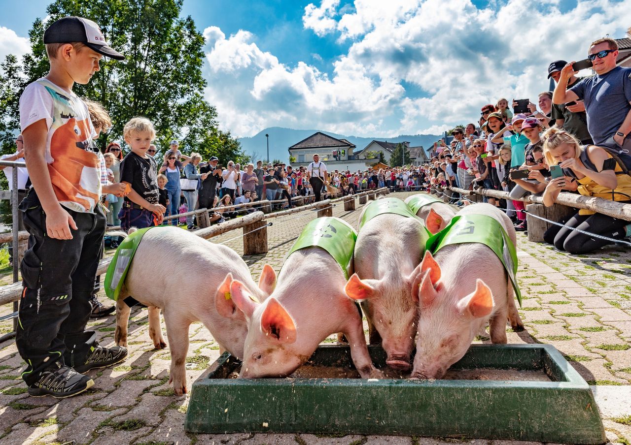 Bauernmarkt Urnäsch mit Alpabfahrt
