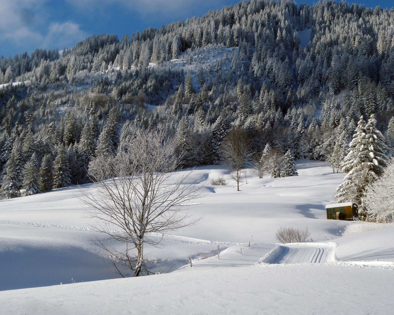 St.-Margrethenberg-Loipe