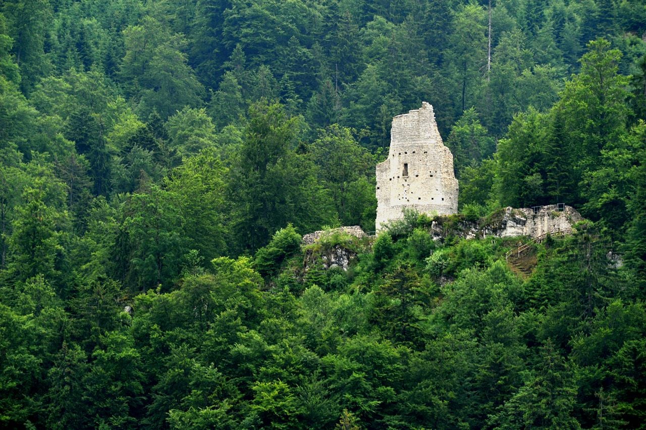 Ruines du Château d'Erguel