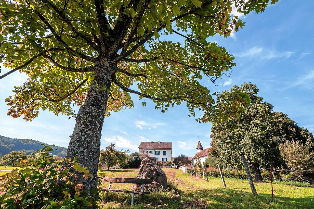 Reiatweg