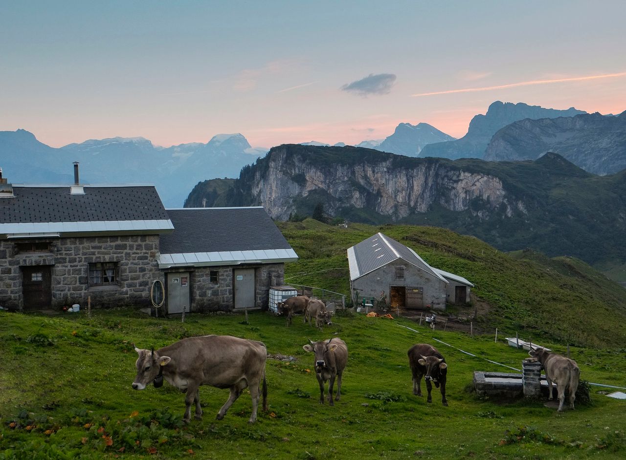 Spend the night at Alp Guppen