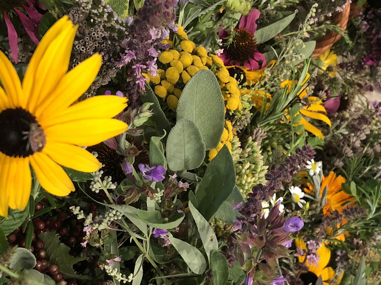 Binding herbs