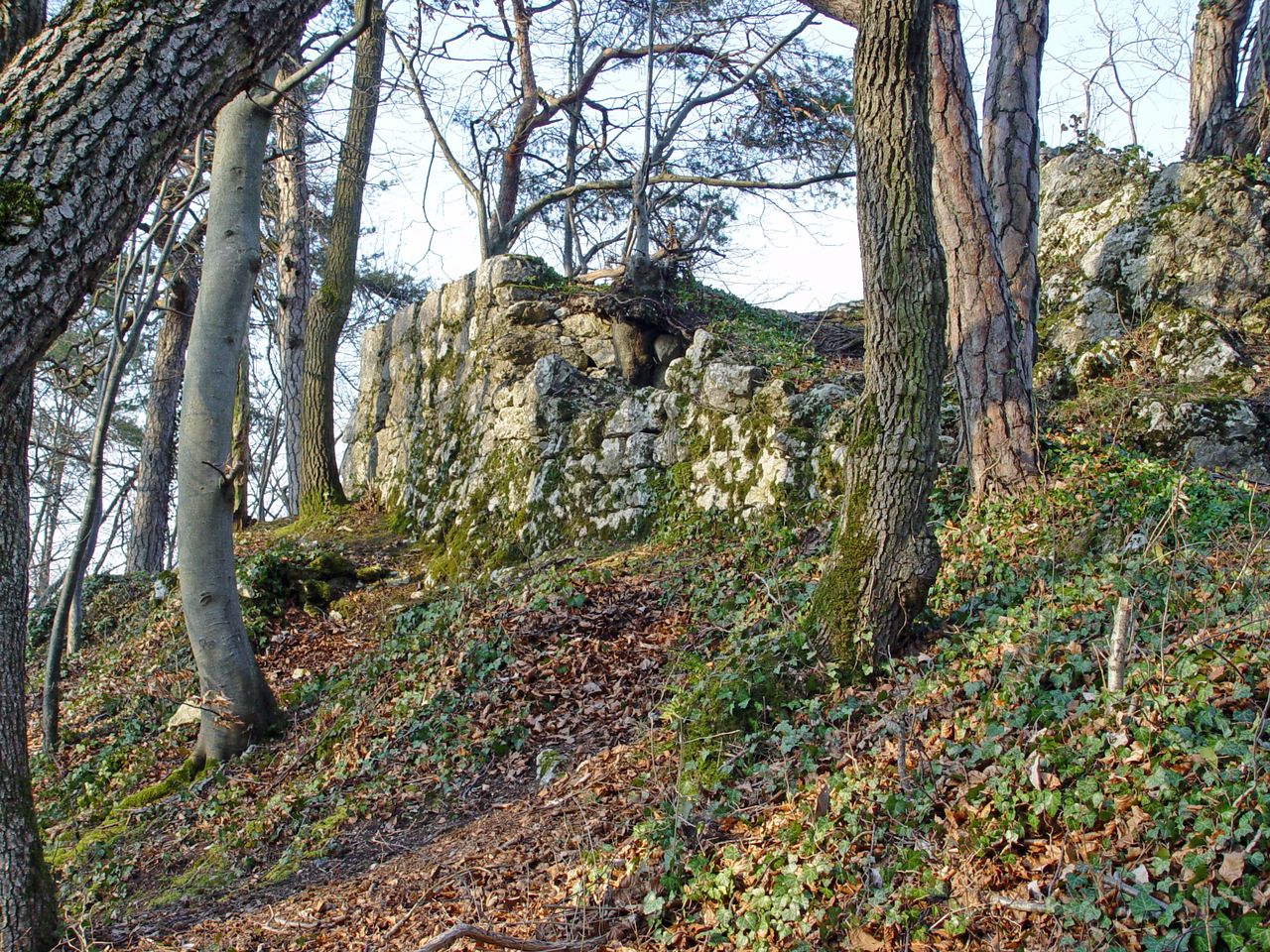 Ruine Münchsberg