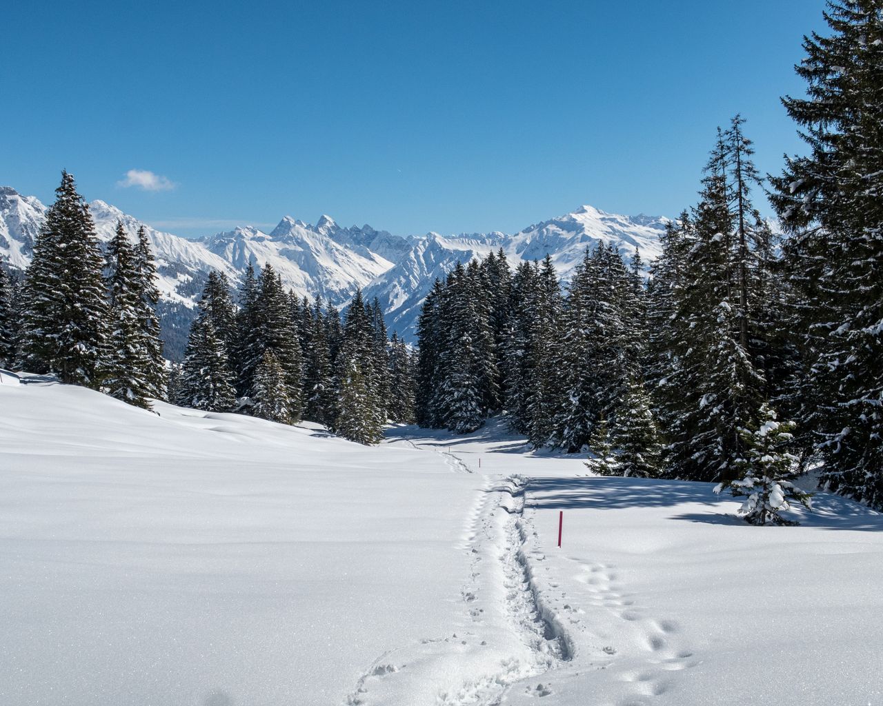 Pany-Rundtrail