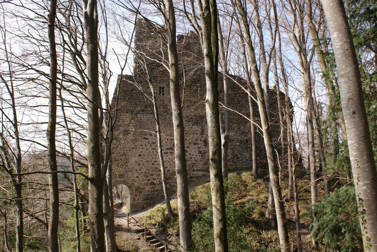 Ruine Alt-Ramschwag