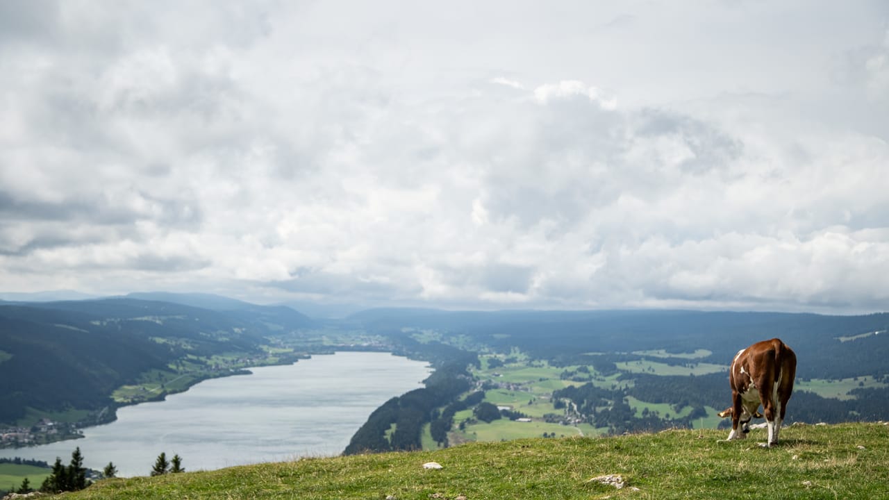 Jura Crest Trail, Stage 13/16