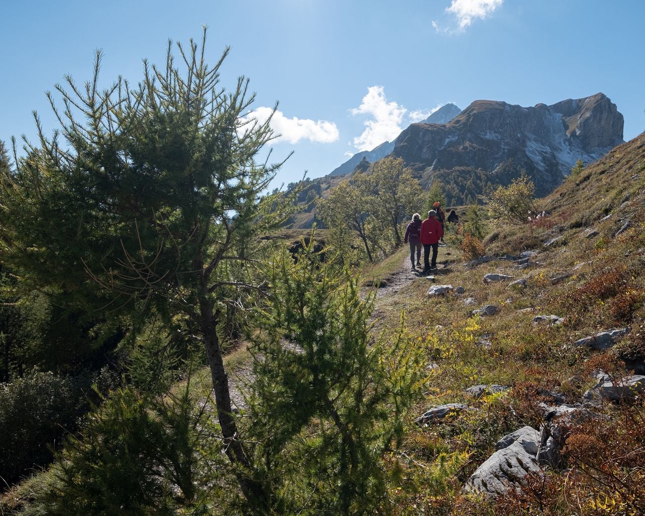Tour du Grand Chavalard