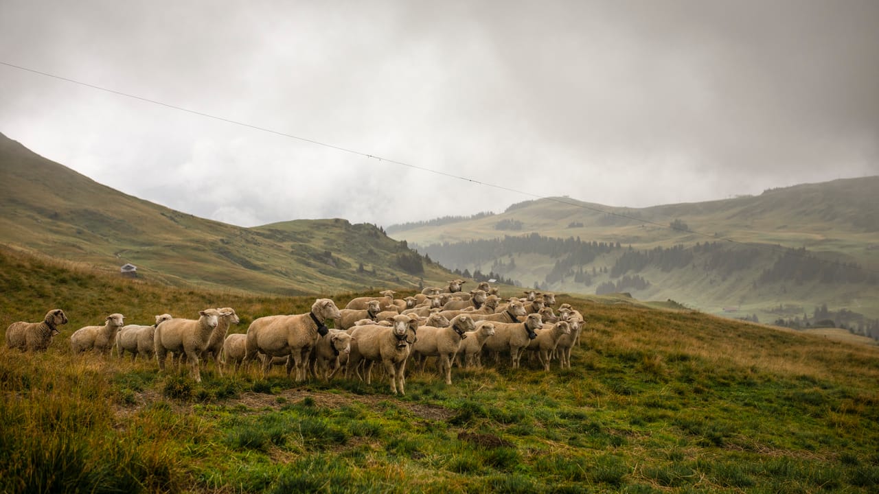 Via Alpina, Etappe 16/20