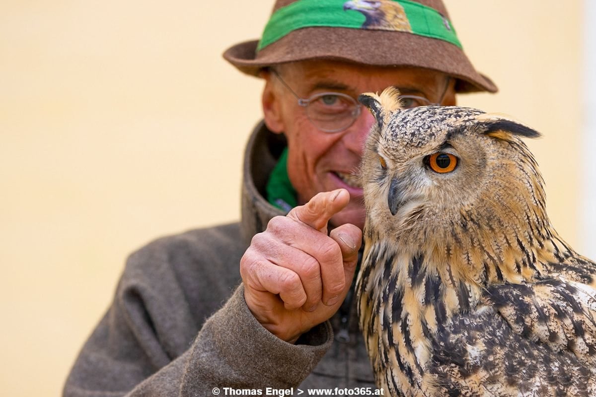 The fascinating world of eagle owl «Bubo»