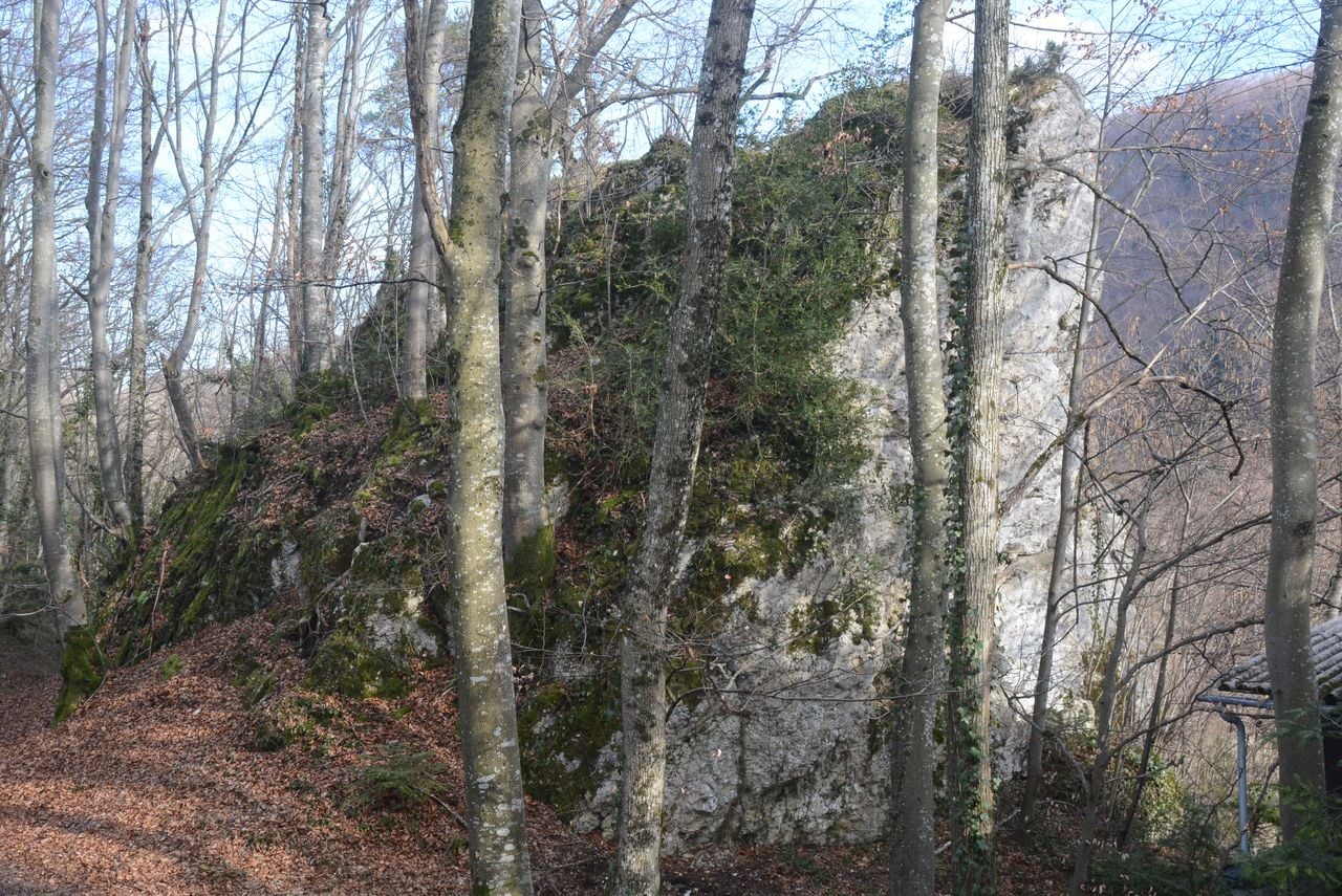 Ruins of Alt-Biederthal