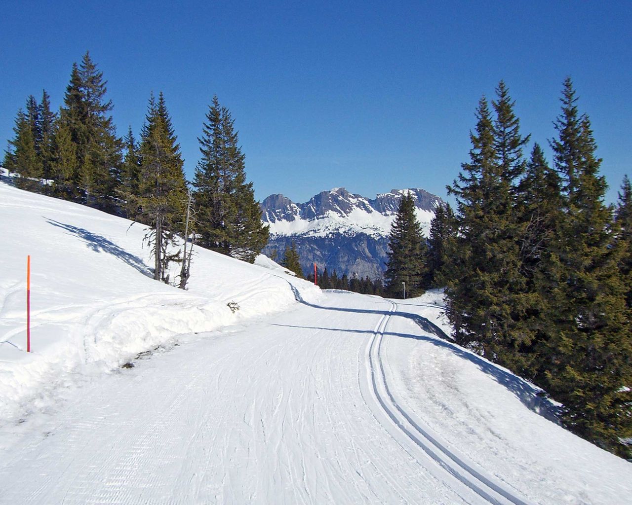 Tannenboden-Fursch-Loipe