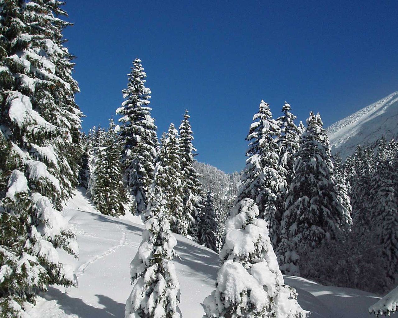 Egg–Rör Trail