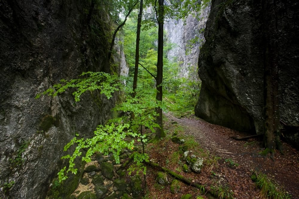 Weissenstein-Passwang-Weg, Stage 2/2