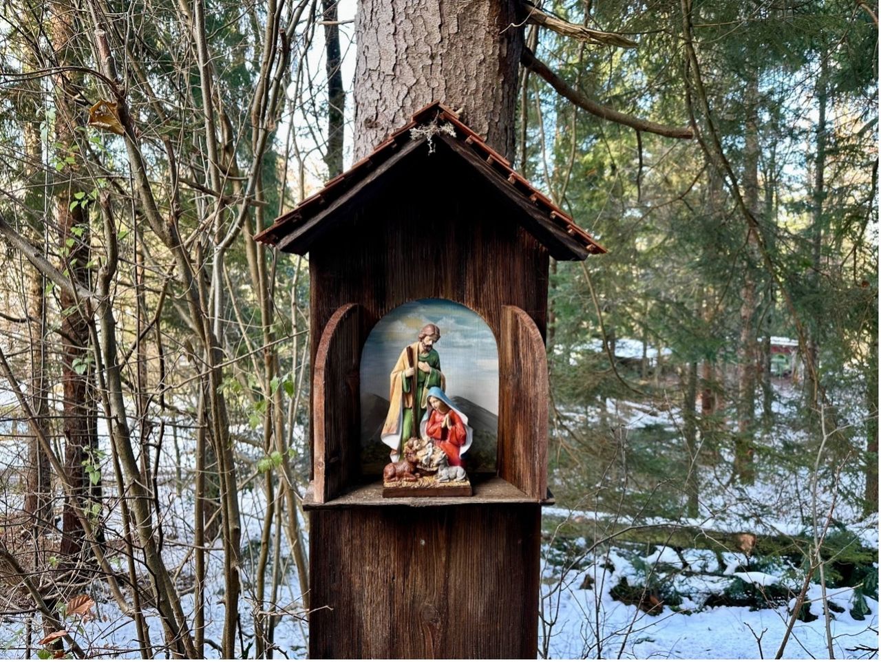Erlebniszeit: Krippenweg Schaanwald